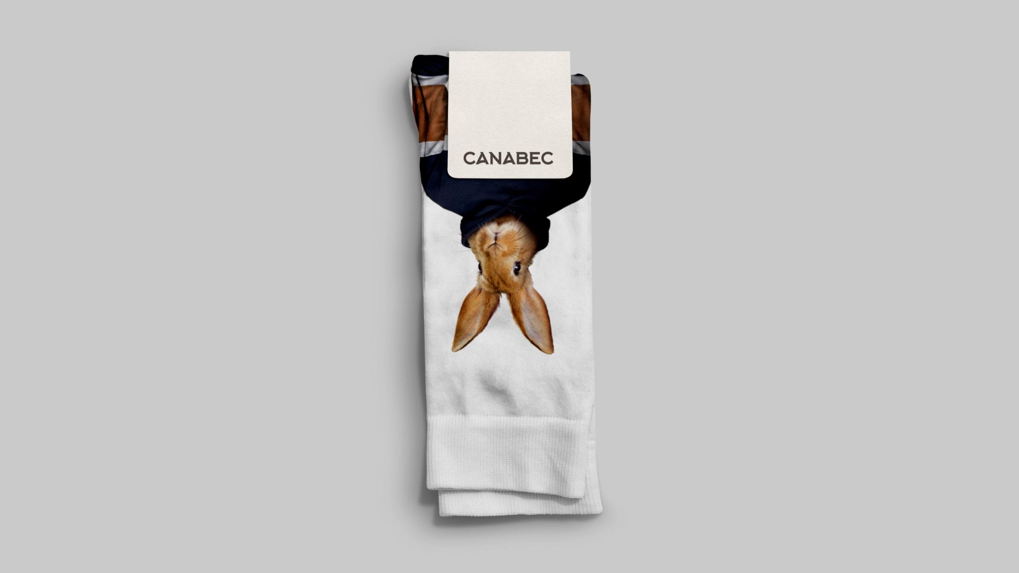 Portfolio_Canabec6-min