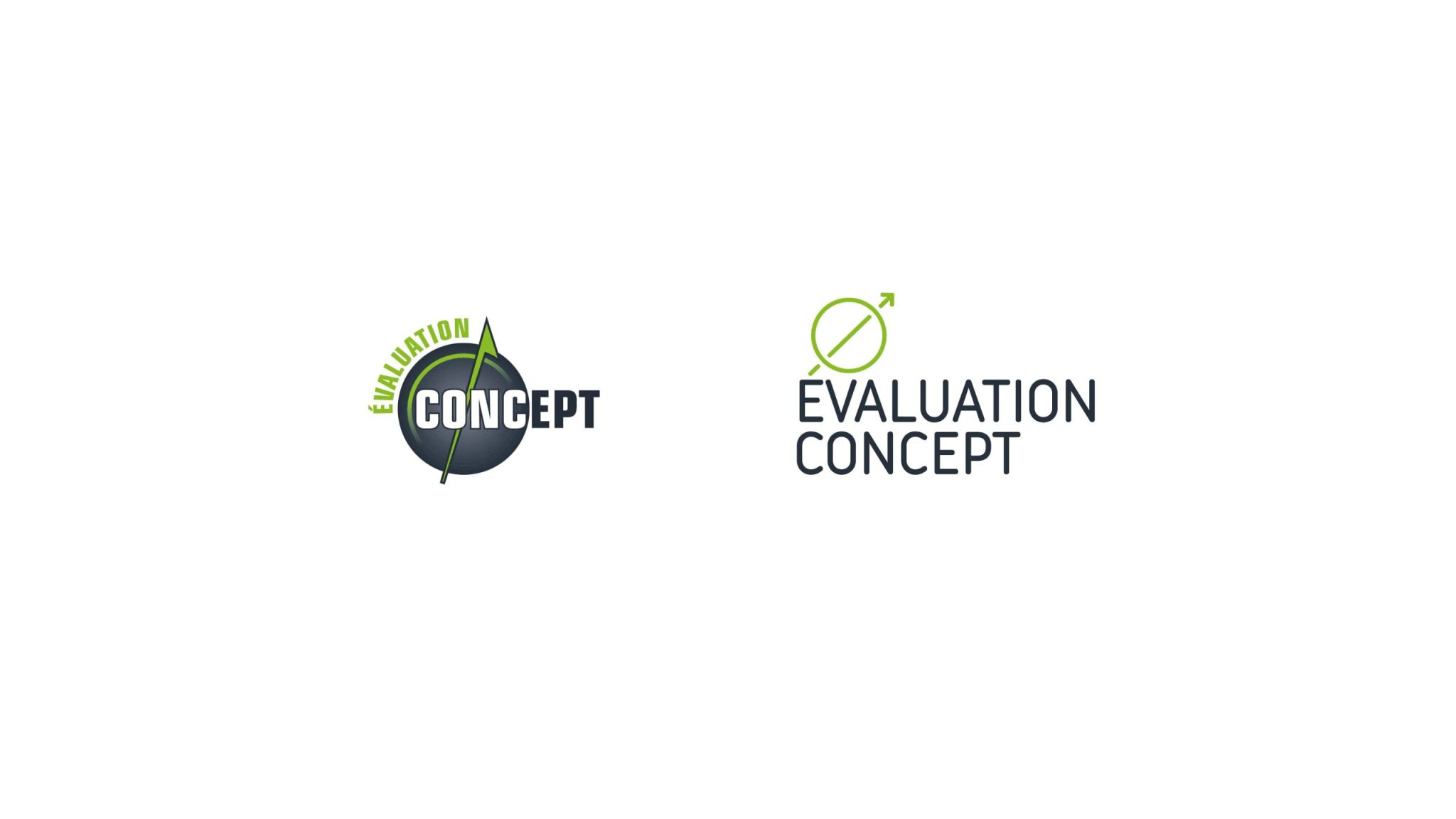 Portfolio_Evaluation_Concept2-min